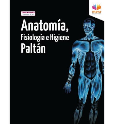 dport_anatomia_paltan