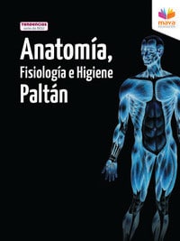 port_anatomia_paltan